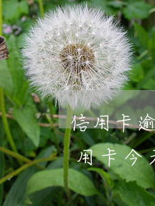 信用卡逾期还款当天能刷出来吗 昨天还了信用卡,今天可以刷了吗