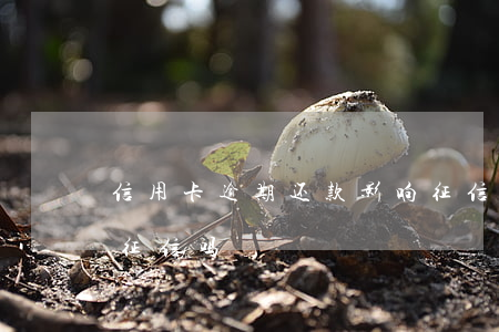 信用卡逾期还款影响征信贷款(逾期还款影响征信吗)
