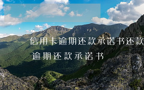 信用卡逾期还款承诺书还款计划-银行贷款逾期还款承诺书