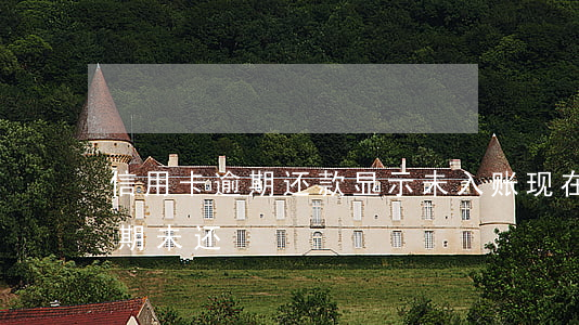 信用卡逾期还款显示未入账(现在我信用卡逾期未还)