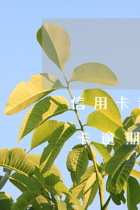 信用卡逾期还款滞纳金和利息怎么算-信用卡逾期还款滞纳金和利息怎么算的