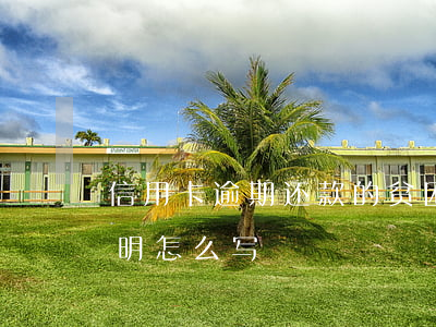 信用卡逾期还款的贫困证明(欠信用卡贫困证明怎么写)