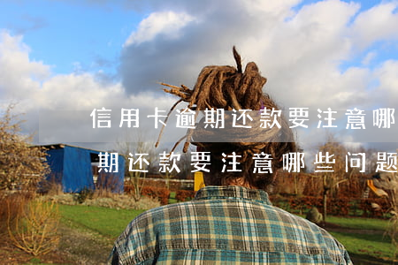信用卡逾期还款要注意哪些问题-信用卡逾期还款要注意哪些问题呢