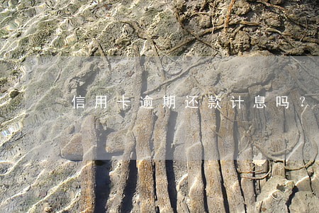 信用卡逾期还款计息吗？真的吗？