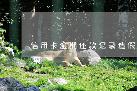 信用卡逾期还款记录造假 逾期还信用卡的后果
