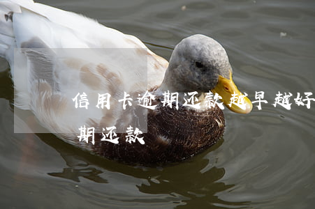 信用卡逾期还款越早越好吗(什么是信用卡逾期还款)