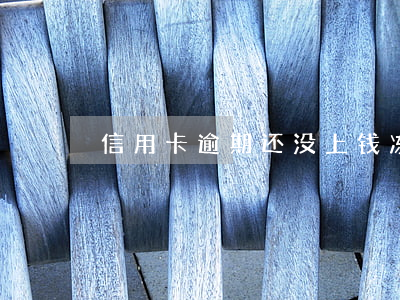 信用卡逾期还没上钱冻结怎么办