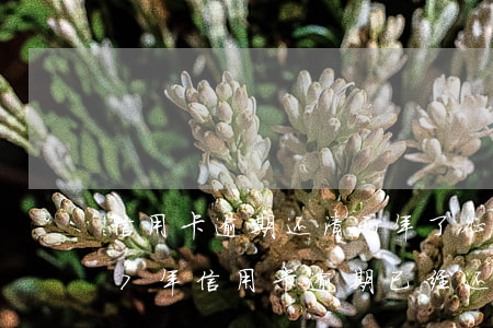 信用卡逾期还清两年了征信会好吗-2017年信用卡逾期已经还清了两年后