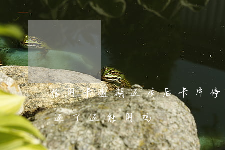 信用卡逾期还清后卡片停用(逾期卡片被停了还了还能用吗)