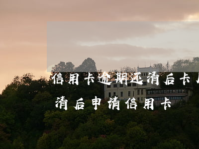 信用卡逾期还清后卡片状态异常(严重逾期还清后申请信用卡)
