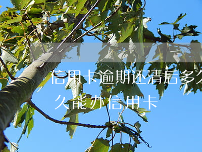 信用卡逾期还清后多久能注销 逾期还清后多久能办信用卡