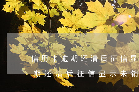 信用卡逾期还清后征信显示未销户 信用卡逾期还清后征信显示未销户
