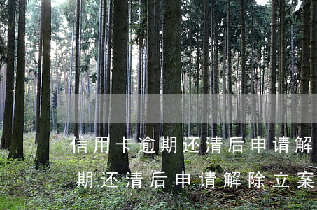 信用卡逾期还清后申请解除立案-信用卡逾期还清后申请解除立案怎么办