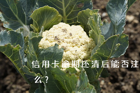 信用卡逾期还清后能否注销？解决办法是什么？