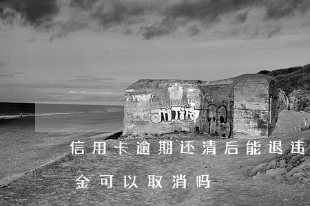 信用卡逾期还清后能退违约金(逾期还款违约金可以取消吗)