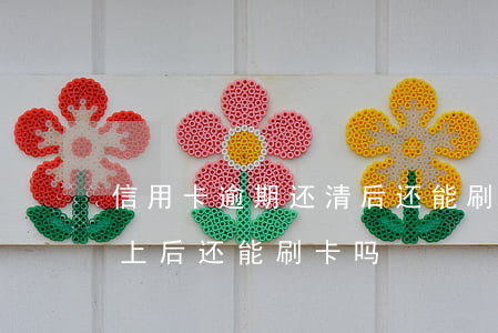 信用卡逾期还清后还能刷吗(逾期的信用卡还上后还能刷卡吗)