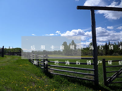 信用卡逾期还清后销卡征信显示-逾期的信用卡还清后销户征信还显示吗