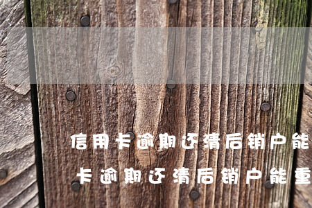 信用卡逾期还清后销户能重新申请吗-信用卡逾期还清后销户能重新申请吗安全吗
