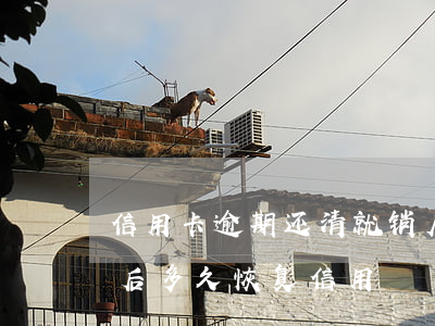 信用卡逾期还清就销户(信用卡逾期还清销户后多久恢复信用)