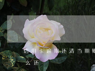 信用卡逾期还清当期账单(信用卡逾期账单怎么还)