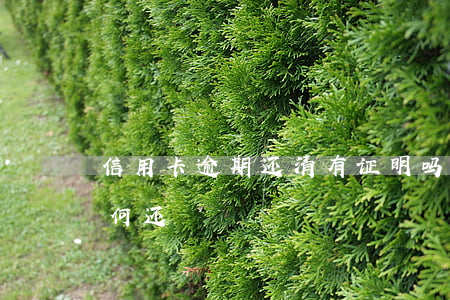 信用卡逾期还清有证明吗-逾期了信用卡如何还