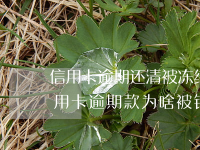 信用卡逾期还清被冻结影响征信吗(还清了信用卡逾期款为啥被银行把卡冻结了)