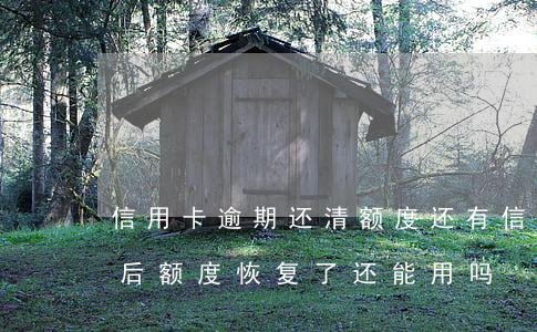 信用卡逾期还清额度还有(信用卡逾期还清之后,额度恢复了,还能用吗)