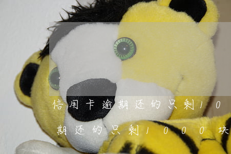 信用卡逾期还的只剩1000块-信用卡逾期还的只剩1000块怎么办