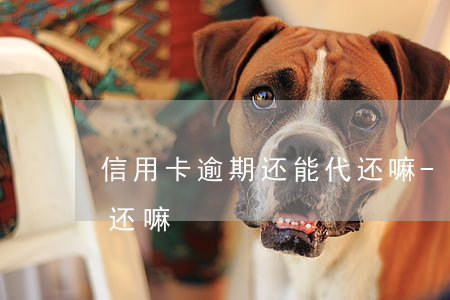 信用卡逾期还能代还嘛-信用卡逾期还能代还嘛