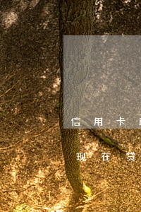 信用卡逾期还能做车吗 我以前信用卡逾期过,现在贷款买车可以吗