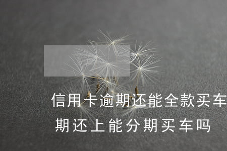 信用卡逾期还能全款买车(信用卡欠款没有逾期还上能分期买车吗?)