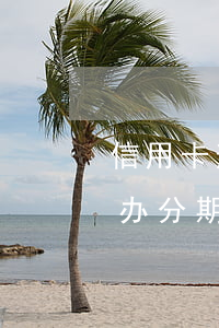 信用卡逾期还能办分期吗(信用卡逾期了还能办分期吗)