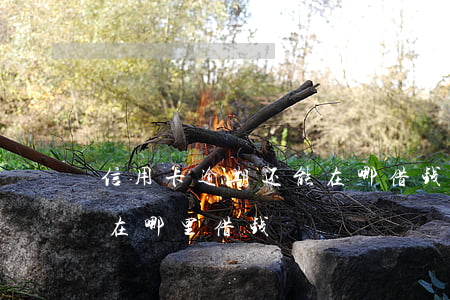信用卡逾期还能在哪借钱(信用卡逾期了还能在哪里借钱)