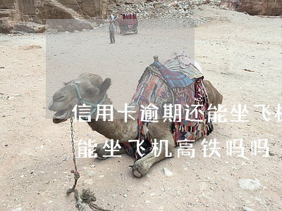 信用卡逾期还能坐飞机高铁吗 信用卡逾期还能坐飞机高铁吗吗