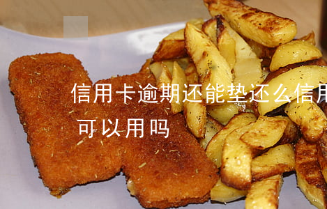 信用卡逾期还能垫还么(信用卡逾期了还上还可以用吗)