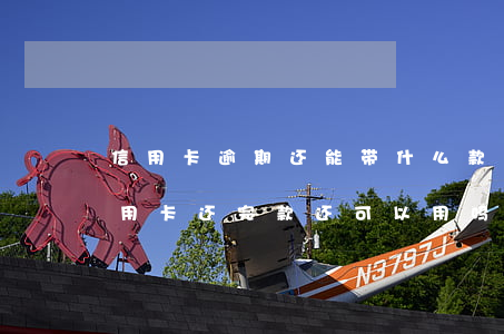 信用卡逾期还能带什么款还上(逾期几年的信用卡还完款还可以用吗)