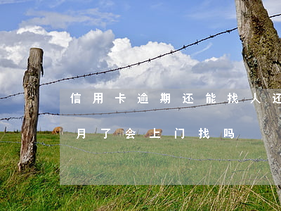 信用卡逾期还能找人还吗(欠信用卡逾期三个月了会上门找吗)