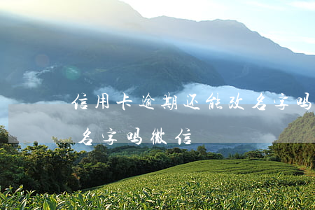 信用卡逾期还能改名字吗(信用卡逾期还能改名字吗微信)