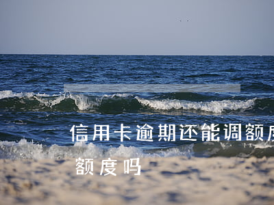 信用卡逾期还能调额度吗(信用卡逾期会降低额度吗)