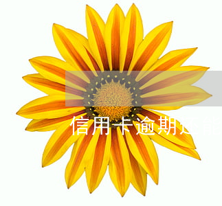 信用卡逾期还能贷款么(信用卡逾期能贷款吗?)