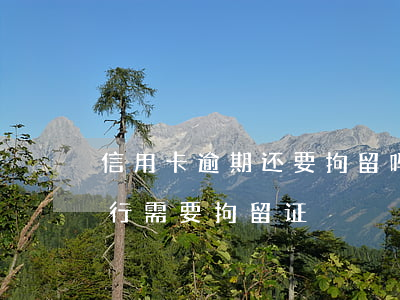 信用卡逾期还要拘留吗 拘留后信用卡逾期银行需要拘留证