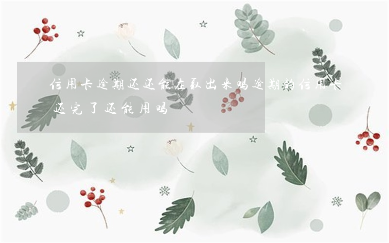 信用卡逾期还还能在取出来吗(逾期的信用卡还完了还能用吗)
