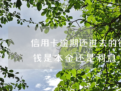 信用卡逾期还进去的钱是本金吗(逾期后还的钱是本金还是利息)