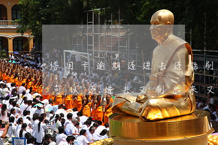 信用卡逾期还进去还能刷出来(还信用卡可不可以还进去又刷出来又还进去)