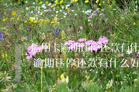 信用卡逾期违停还款有什么好处吗-信用卡逾期违停还款有什么好处吗知乎