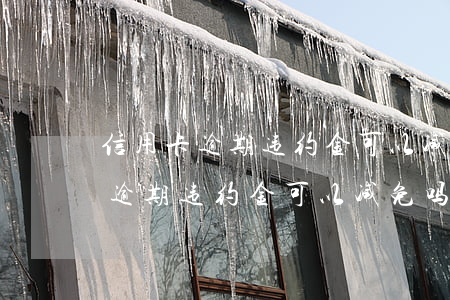 信用卡逾期违约金可以减免吗上海-信用卡逾期违约金可以减免吗上海