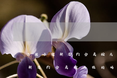 信用卡逾期违约金是按天收的吗-信用卡逾期违约金是按天收的吗合法吗