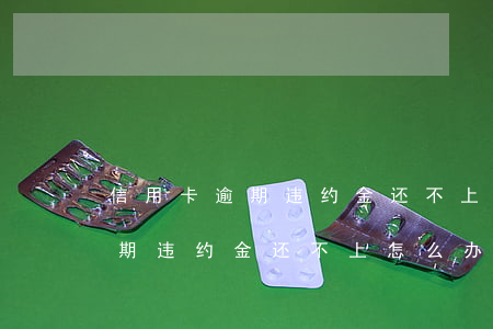 信用卡逾期违约金还不上怎么办-信用卡逾期违约金还不上怎么办呢