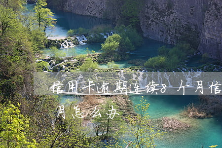 信用卡逾期连续8个月(信用卡逾期连续8个月怎么办)