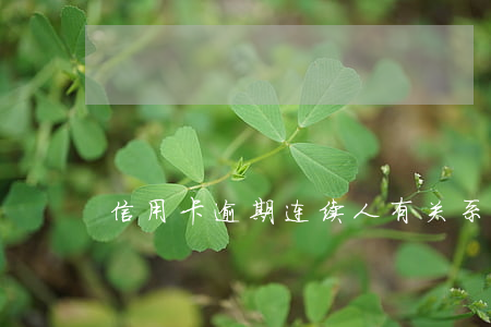 信用卡逾期连续人有关系吗